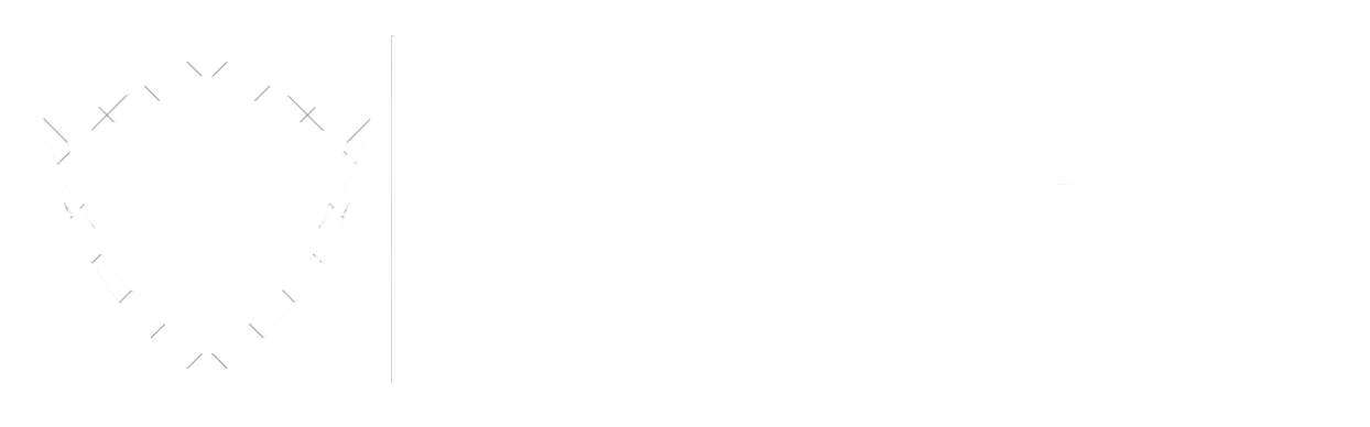 Anax Güvenlik